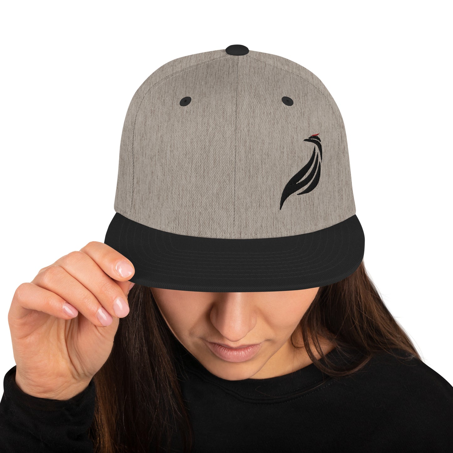 Snapback Logo Hat