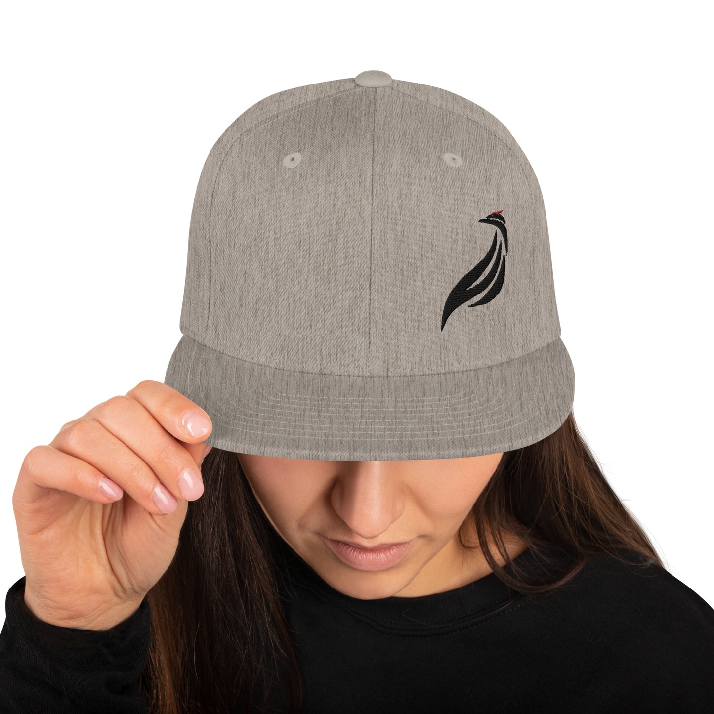 Snapback Logo Hat