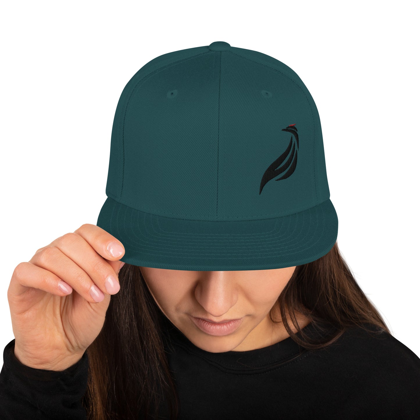 Snapback Logo Hat